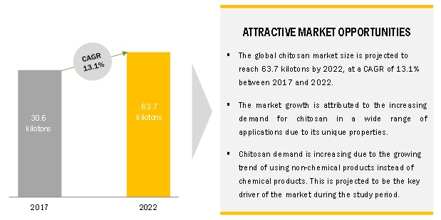 Global Market Outlook for Chitosan: Market Size, Share, and Forecast| MarketsandMarkets™