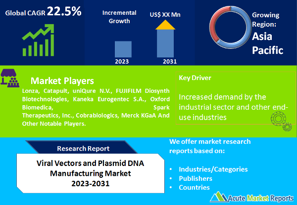 Viral Vectors and Plasmid DNA Manufacturing Market Size And Forecast To 2031