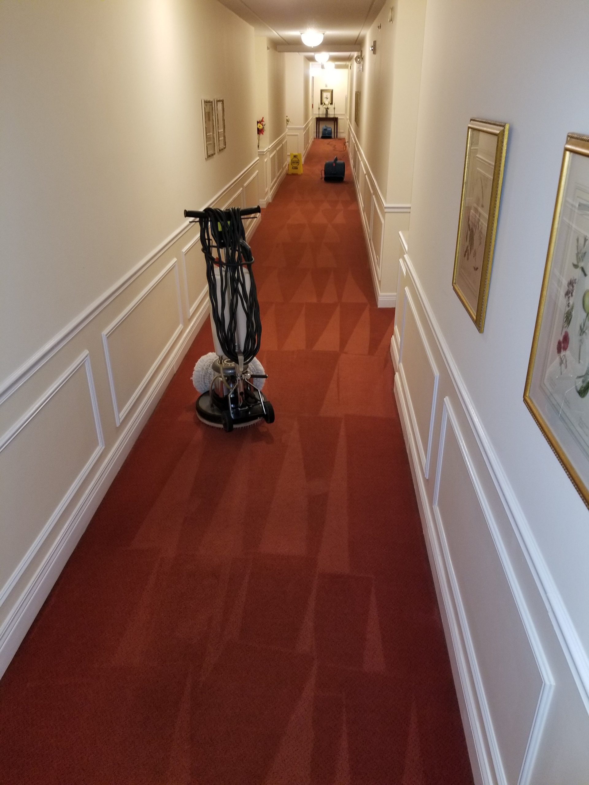 The Best of Both Worlds: Carpet Cleaning and Air Duct Cleaning in Lake Forest, IL