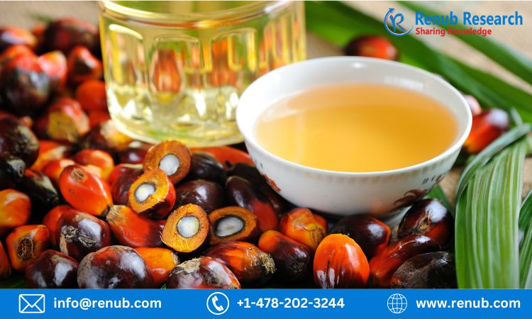 Global palm oil market,Size, Share, Growth | Forecast2023-2028 | Renub Research