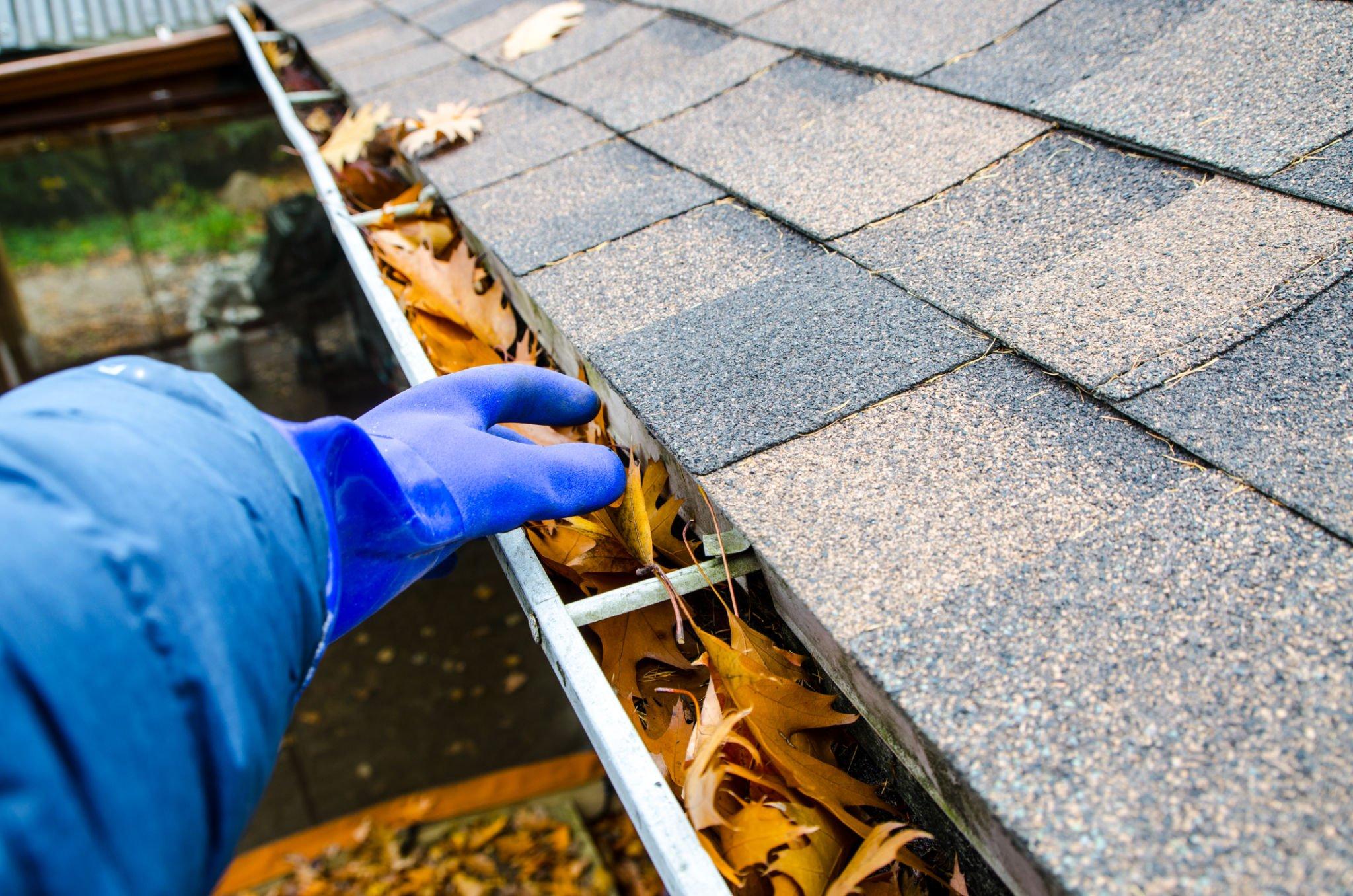 The Importance Of Residential Gutter Cleaning: Protect Home