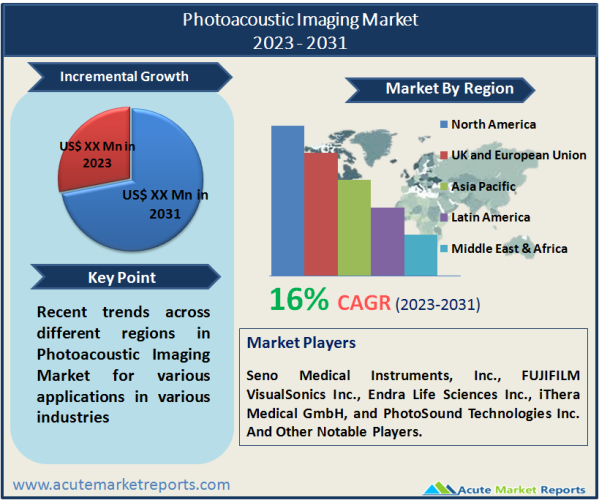 Photoacoustic Imaging Market is Anticipated to Grow at a CAGR of 16% By 2031