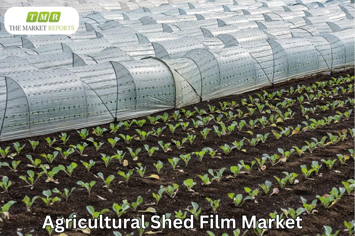 Agricultural Shed Film Market is set for substantial growth driven by a remarkable CAGR of 3.8% during the forecast period of 2023-2029