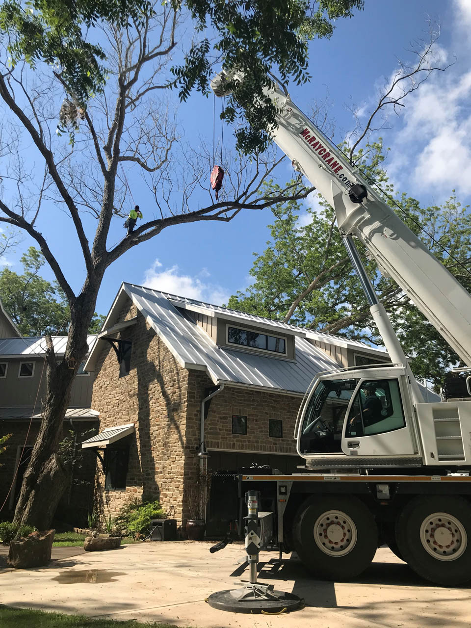 From Start to Finish: Unveiling Houston's Tree Removal Process