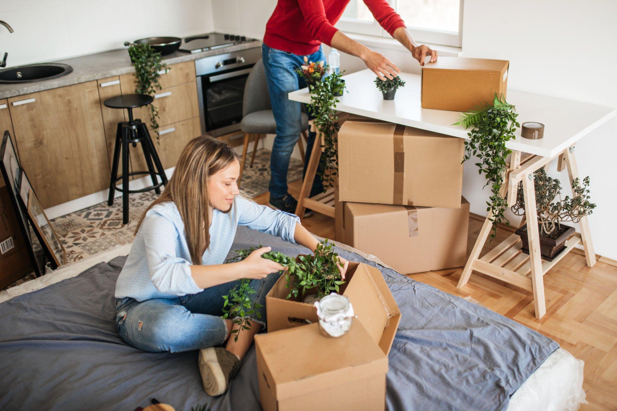 Bellevue Movers: A Comprehensive Guide to Packing and Moving Services