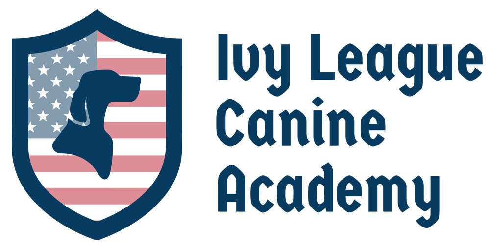 Ivy League Canine Academy: The Ultimate Solution for Dog Obedience Training and Behavior Modification