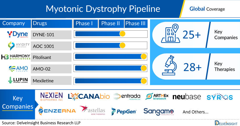 Myotonic Dystrophy Pipeline, Clinical Trials Assessment, and FDA Approvals 2023 (Updated)