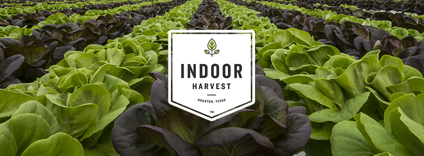 Indoor Harvest Strikes Joint Venture Agreements To Accelerate Revenue Growth In Sustainable Hemp And Wellness Markets ($INQD)