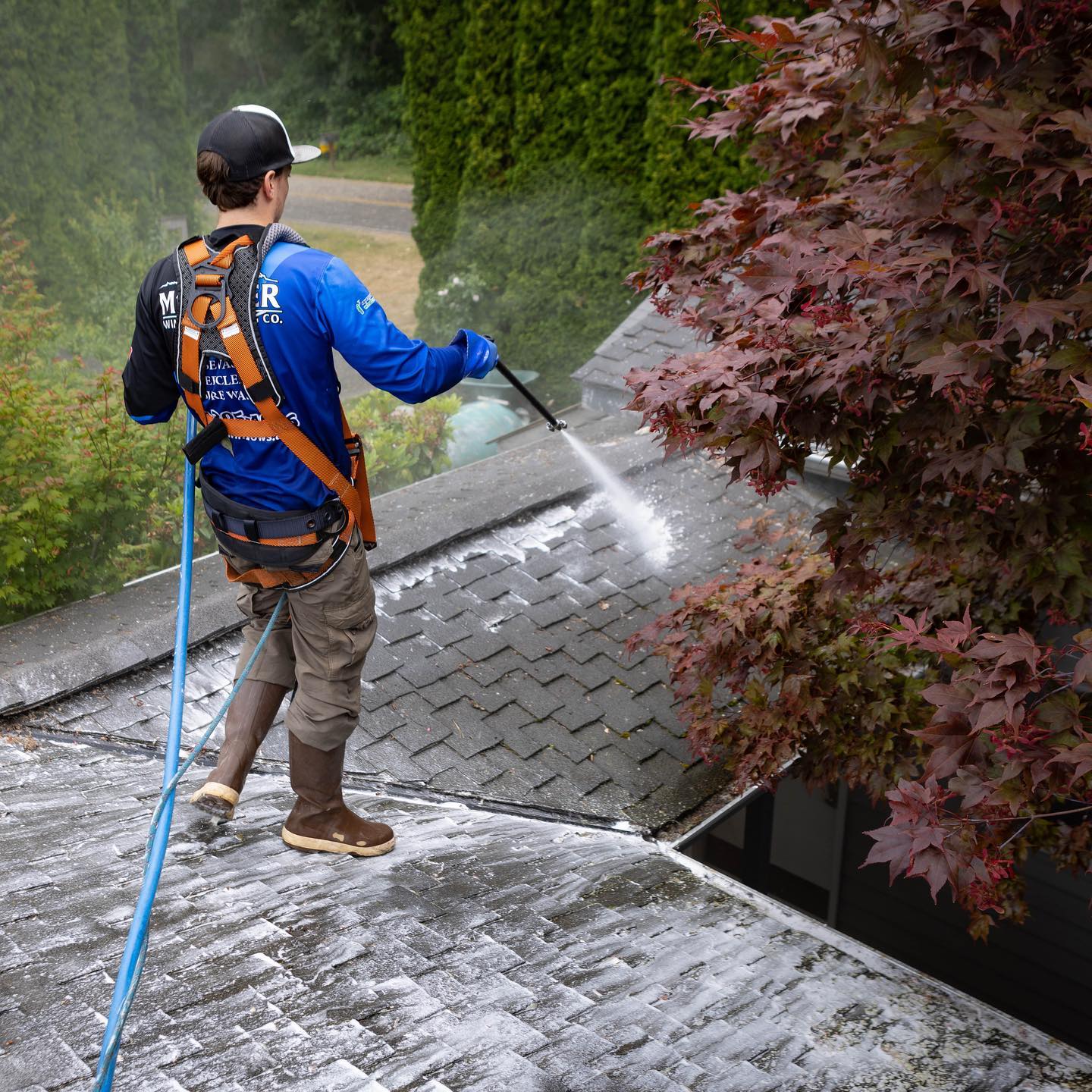 Mt. Baker Window Cleaning: Bellingham's Premier Roof Moss Removal Expert