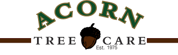 Acorn Tree Care Announces Strategic Alliance With SEO Guru Atlanta to Elevate Digital Footprint