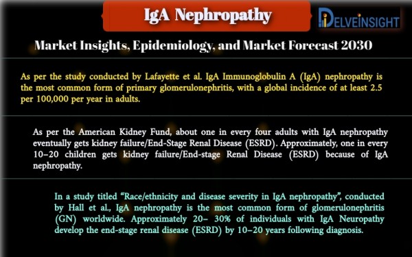 IgA Nephropathy Market