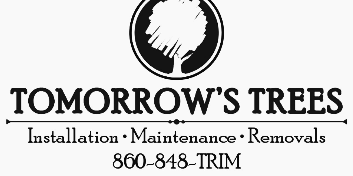Tomorrow’s Trees Emerges as a Premier Top Rated Tree Care Company in Southeastern CT