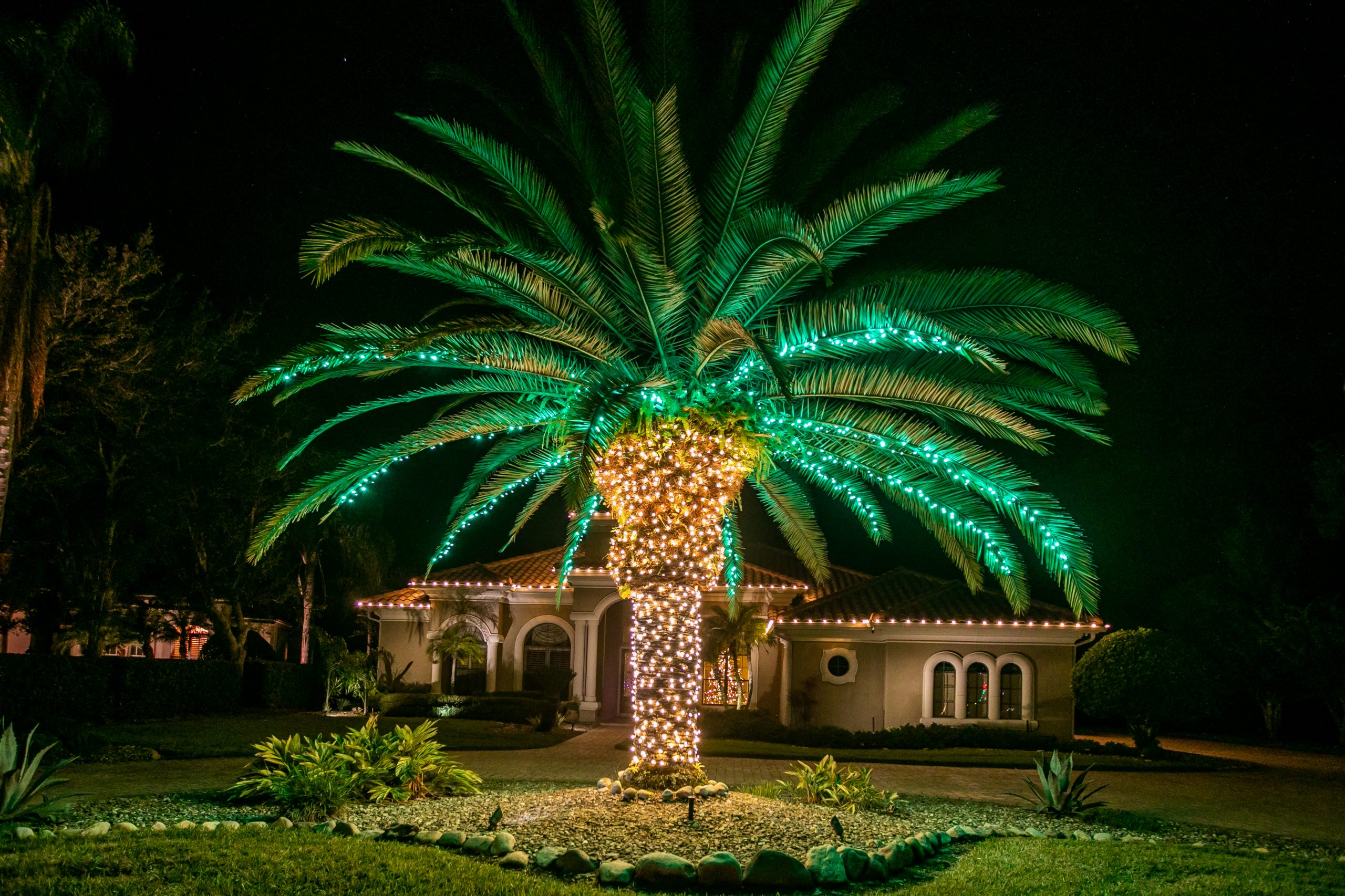 Journey Through Wonderland: Christmas Lights in Orlando Shine Anew