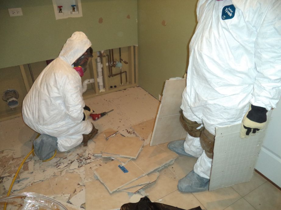 Unlocking Transformative Potential: The Impact of Advanced Mold Remediation Services