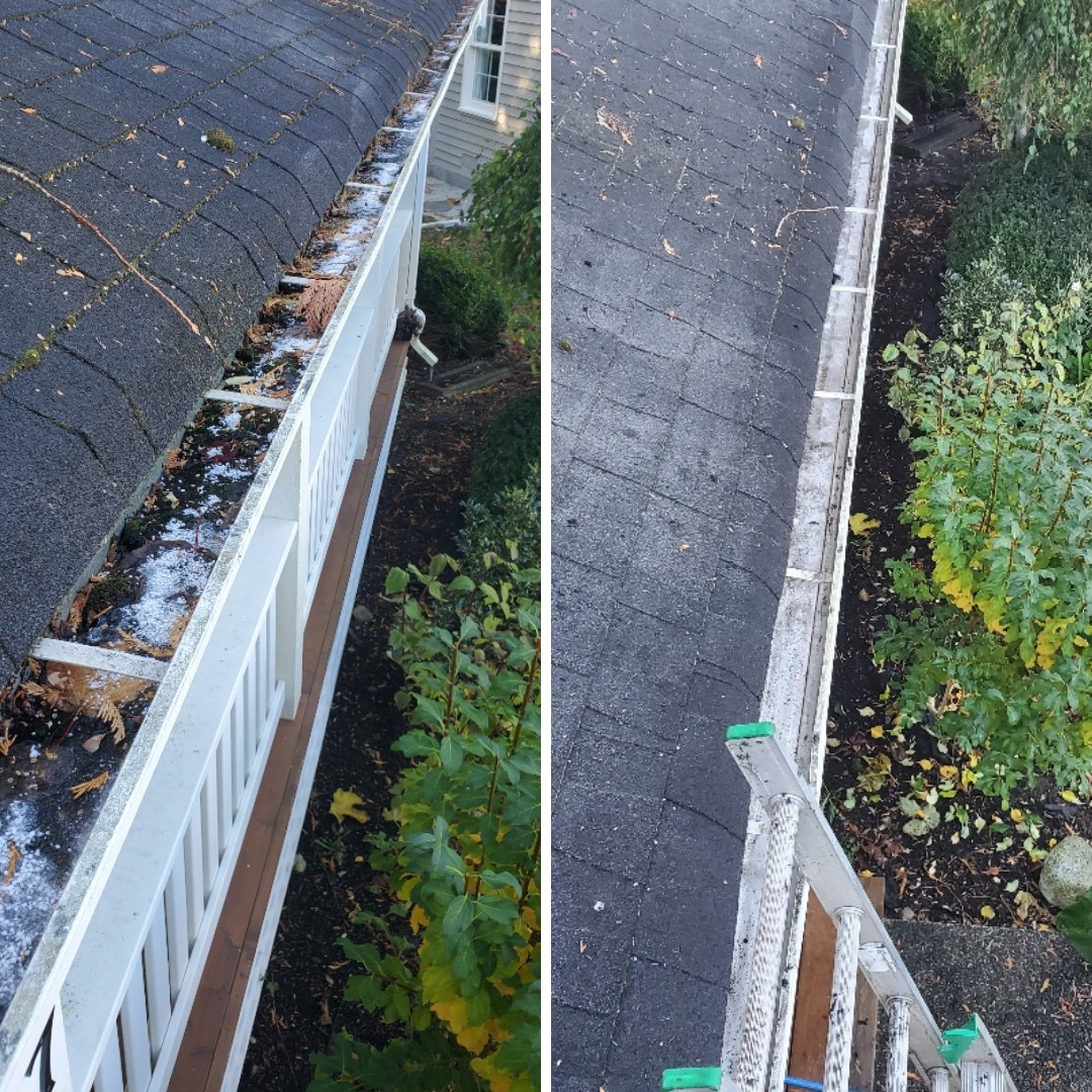 Revive Services: The Premier Choice for Gutter Cleaning in Surrey, BC