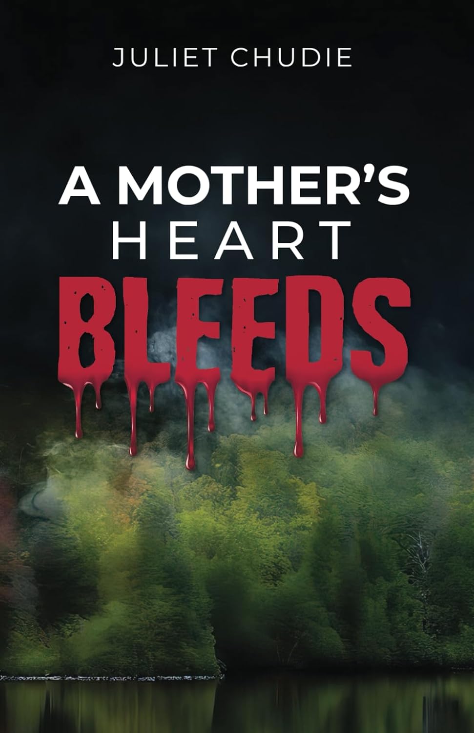 Juliet Chudie Releases New Novel - A Mother's Heart Bleeds