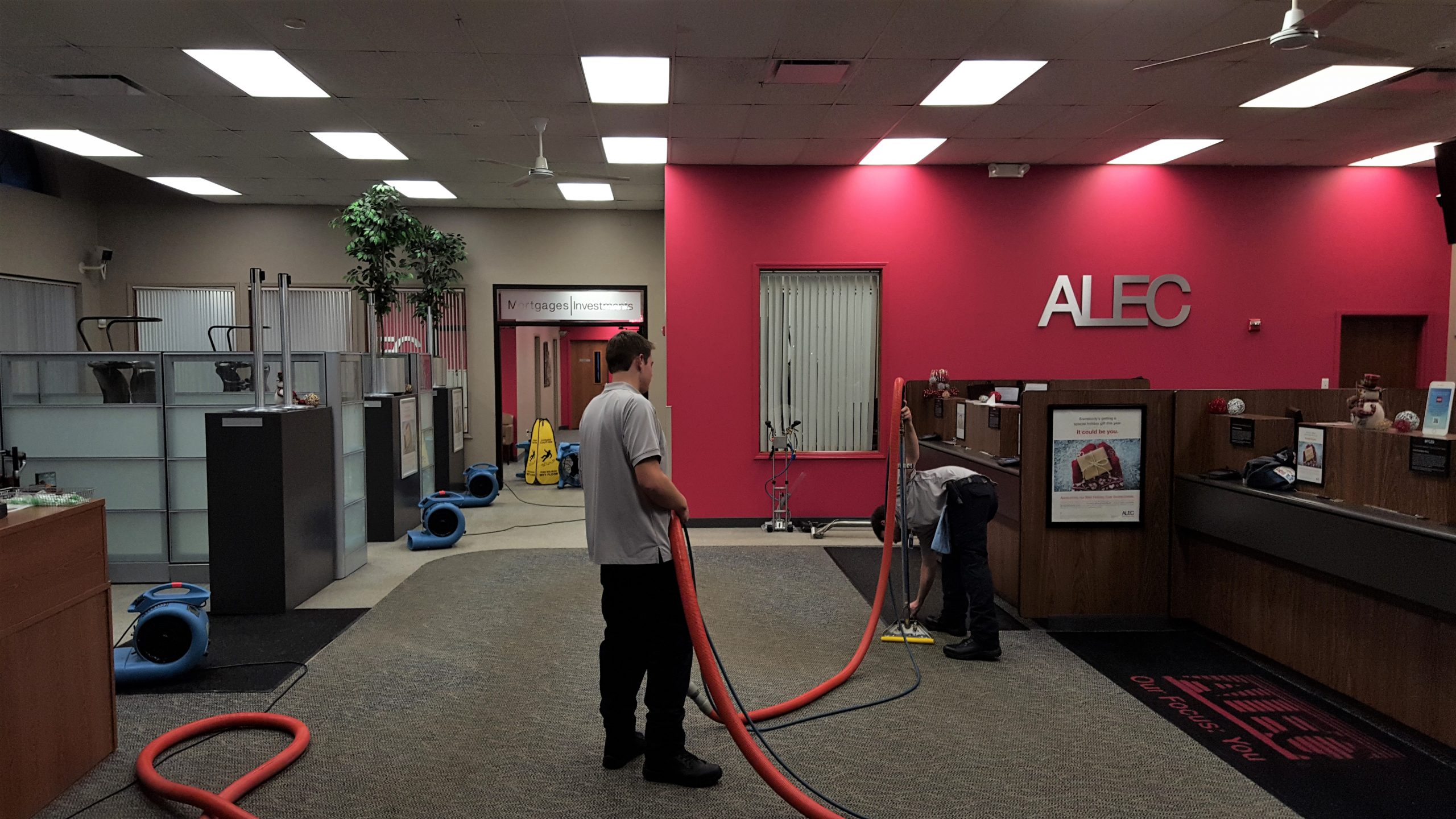 Expert Insights The Ultimate Guide to EcoFriendly Carpet Cleaning