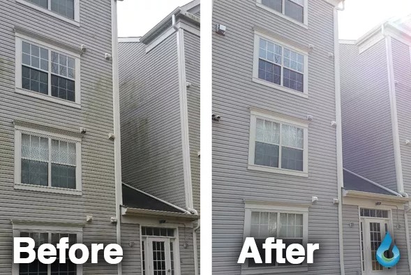 Gleaming Panoramas: Unraveling the Excellence in Residential and Commercial Window Cleaning Services