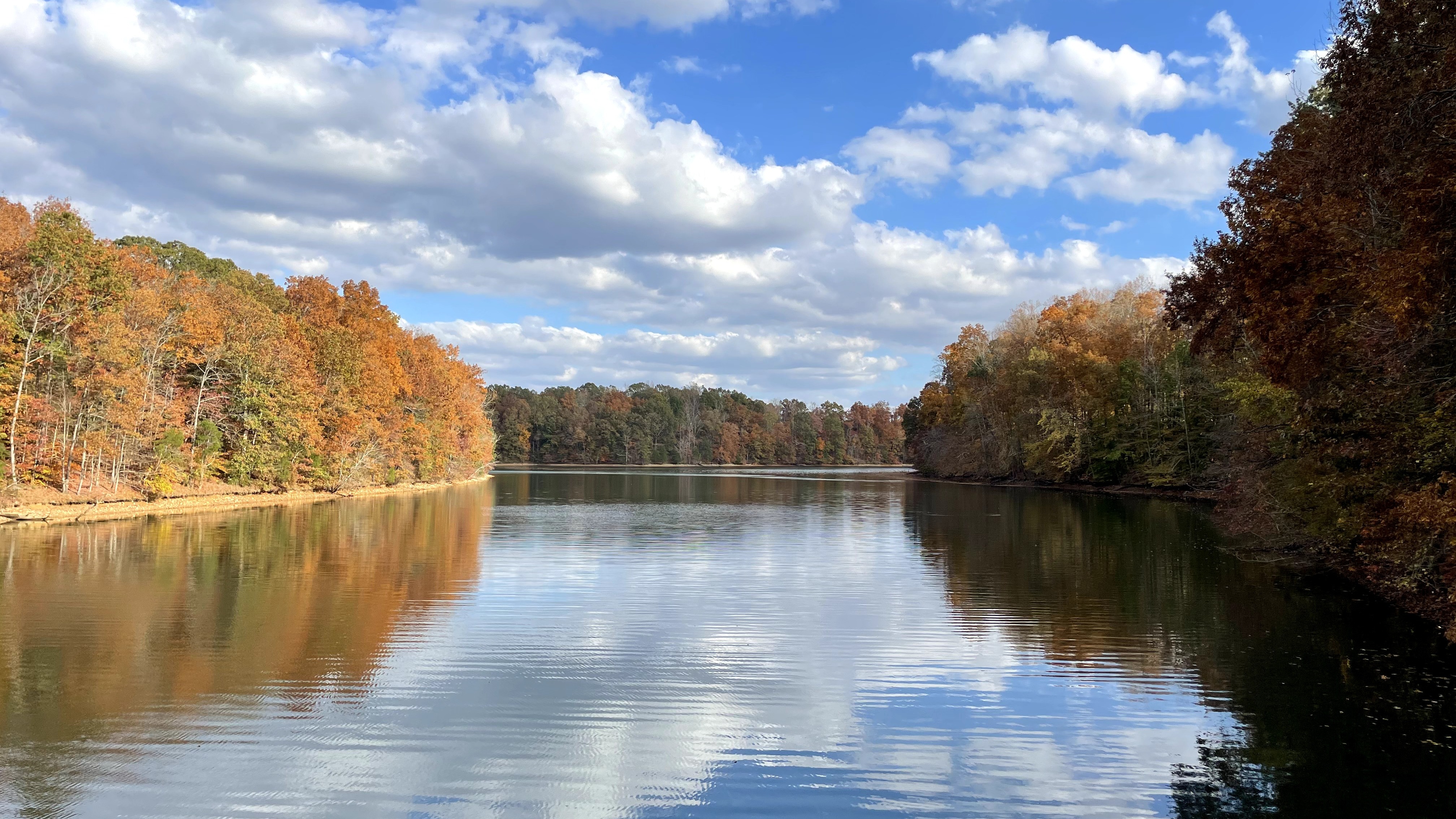 Discover the Untapped Beauty of Tims Ford Lake: A Hidden Gem in the Heart of Nature