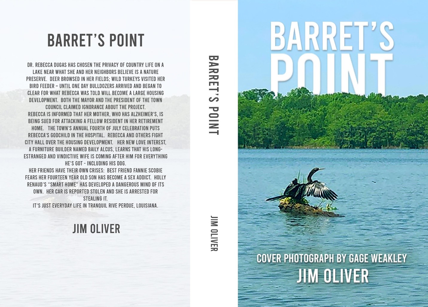 "Barrett's Point": A Tale of Intrigue, Community, and Resilience by Jim Oliver