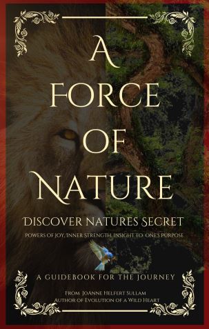 Author JoAnne Helfert Sullam to Release A New Book on Earth Day