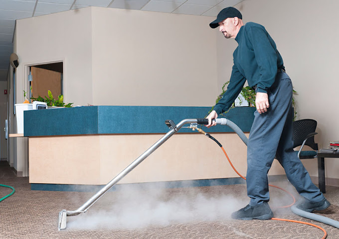 Discover Superior Carpet Cleaning Nearby: Transform Space with Expert Services