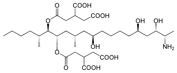 Creative Diagnostics Launches Comprehensive Fumonisin Test Reagents for Precise Food Safety Analysis