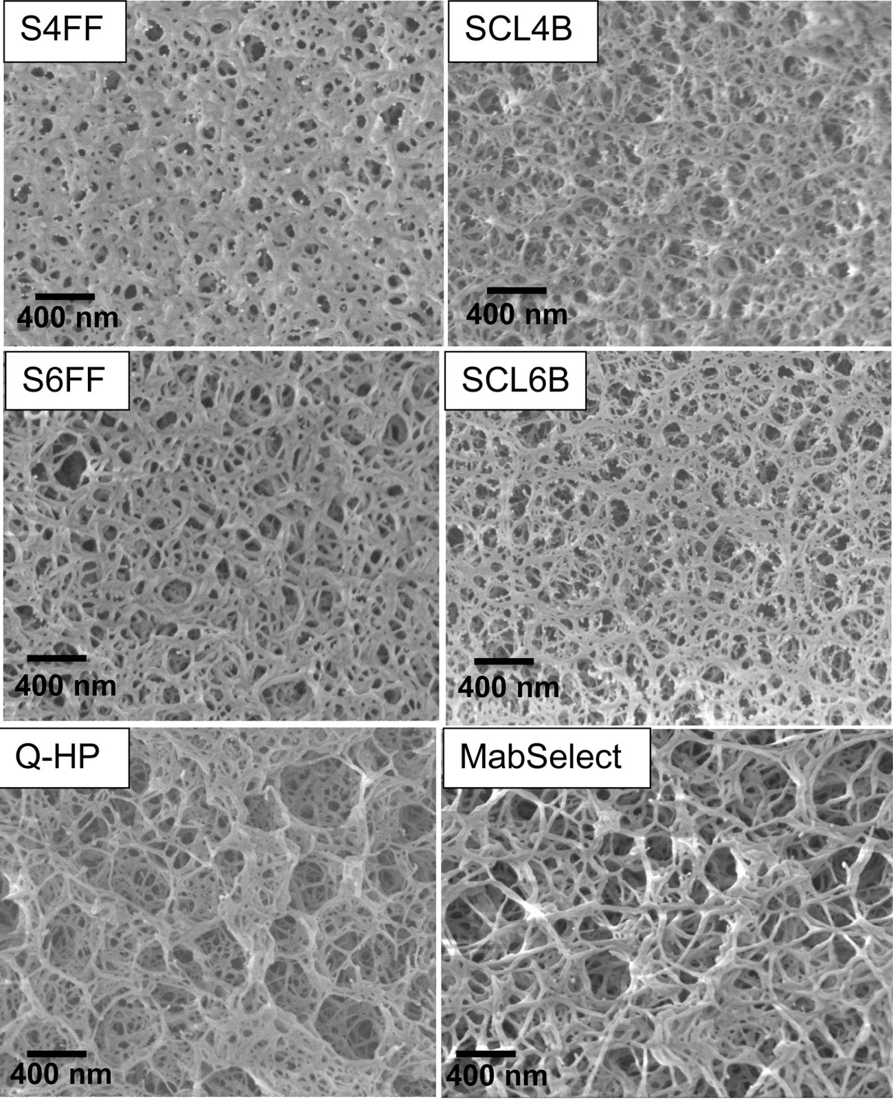 CD Bioparticles Announces New Line of Conjugated Agarose Particles for Affinity Separation and Purification