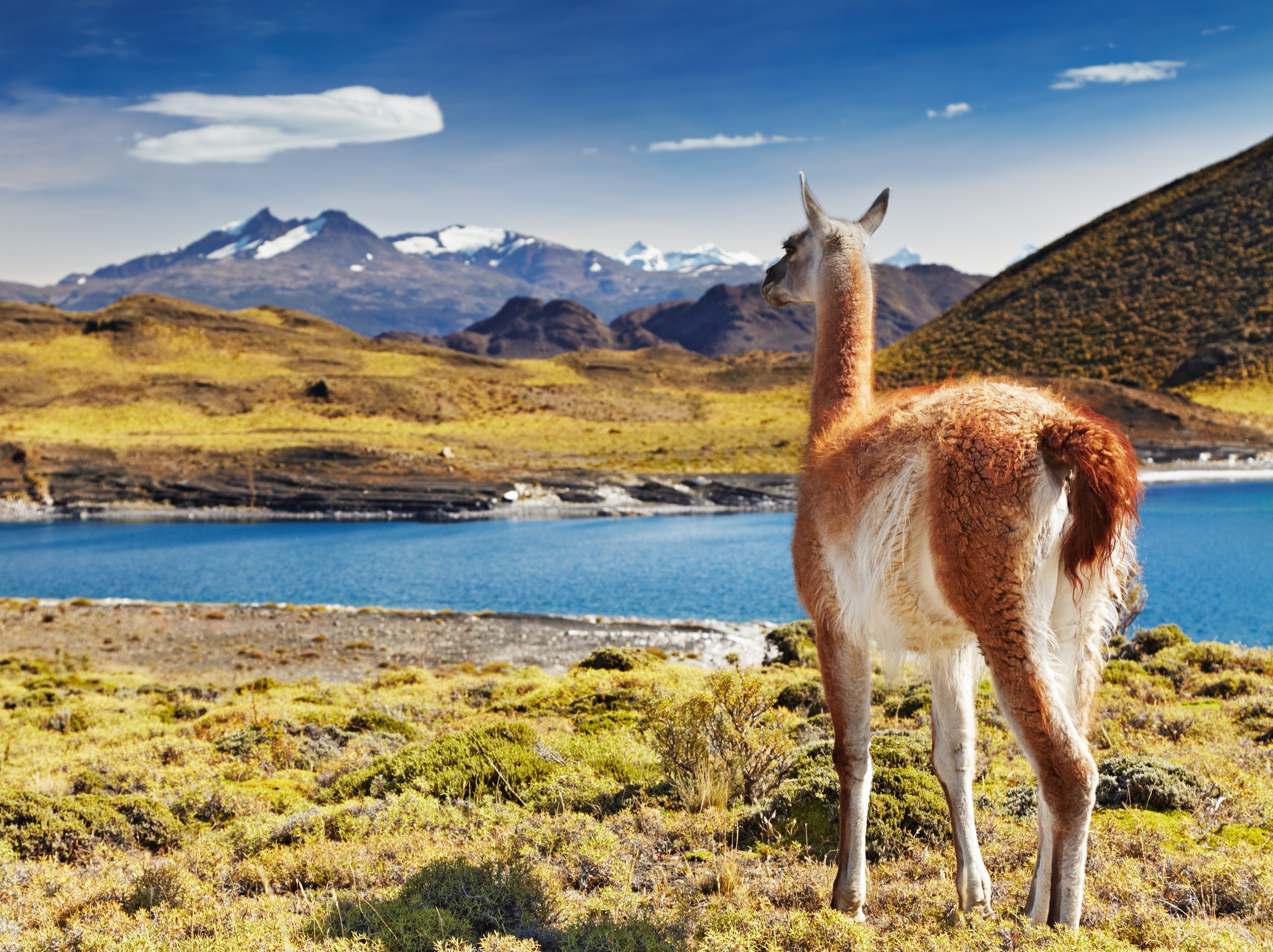 European Union Backs Patagonia's Rise in the Hydrogen Market