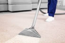 Transform Home with Professional Carpet and Hardwood Floor Cleaning Services