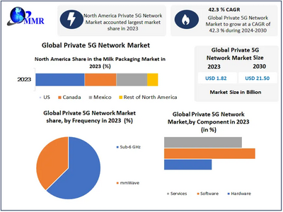 Private 5G Network Market to reach USD 21.50 Bn at a CAGR of 42.3 percent by 2030- Says Maximize Market Research