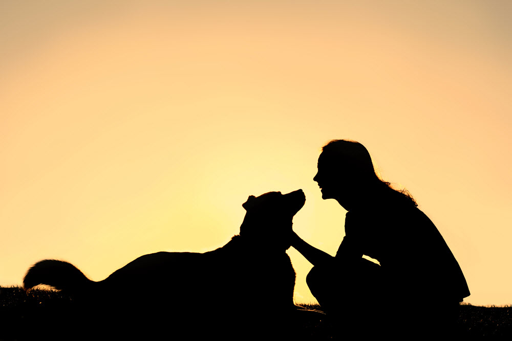 Study Shows People Find More Comfort in Their Pets Than Their Partners