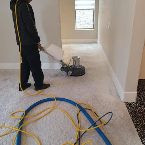 Immaculate Restoration and Carpet Care Announces Comprehensive Flood Damage Restoration Services