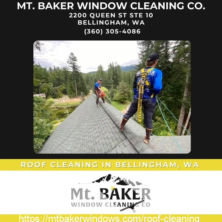 Mt. Baker Window Cleaning Co. - Bellingham’s Premier Roof Cleaning Service