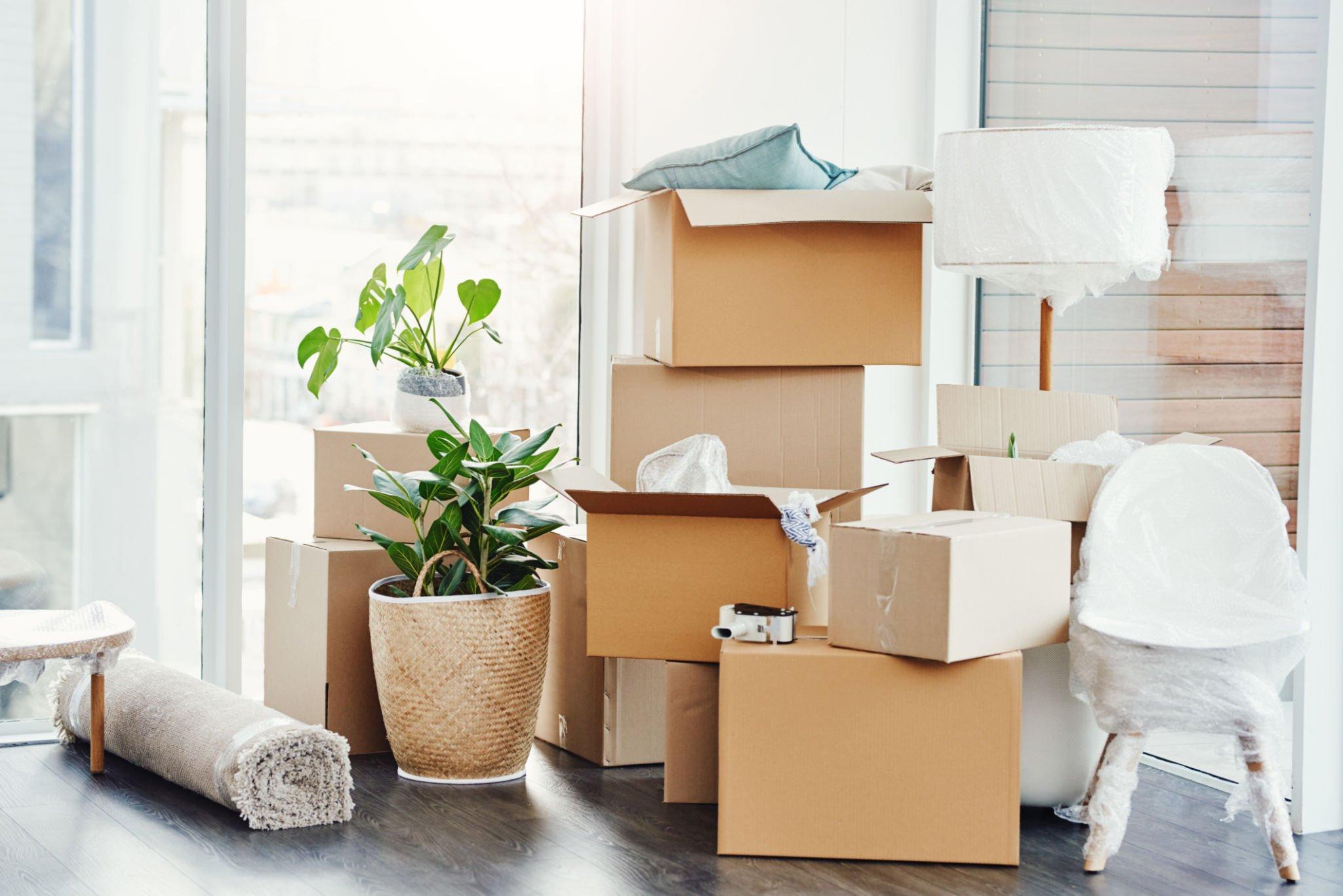 Transforming the Residential Moving Experience: Expert Furniture Movers at Service