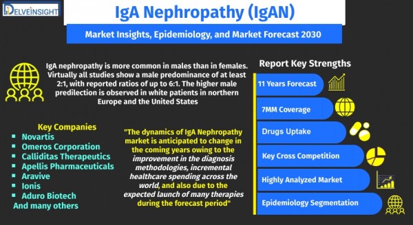 iga-nephropathy-igan-market-Size-and-share-analysis