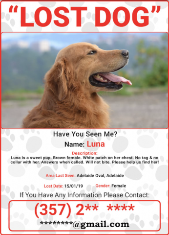 Lost dogs store reported near me
