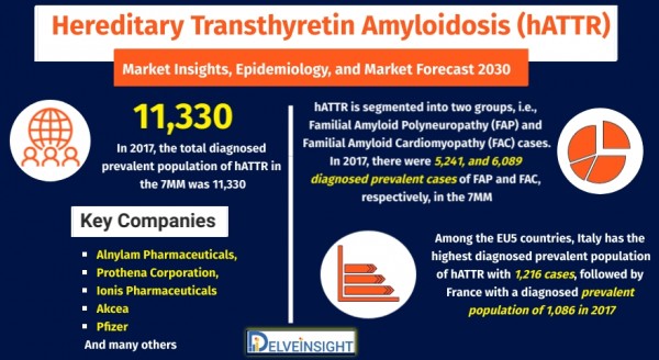 Hereditary-ATTR-hATTR-Amyloidosis-Market-Analysis-hATTR-market
