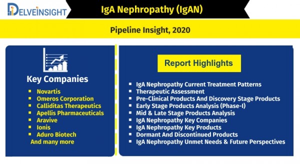 iga-nephropathy-igan-pipeline-insight