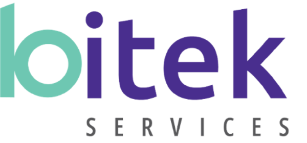 Bitek Services Inc., the Major IT Solutions Provider, Introduces Ground breaking Internet site Development and Electronic Advertising Solutions
