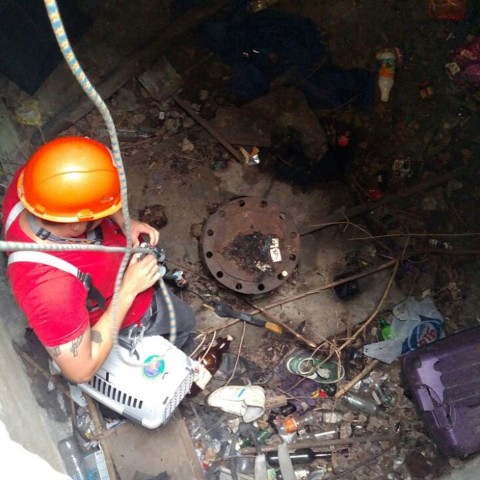 Plumber going into drain in Castle Hill NSW