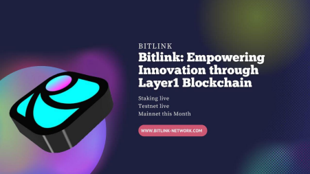 Bitlink Network The Power of Blockchain Technology to Revolutionize Industry