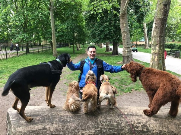 LORENZO BARICHELLA OF TRAINING DOG LAUNCHES NEW VIDEO COURSE – DOG LICENCE